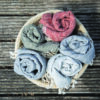 Hammam pleed