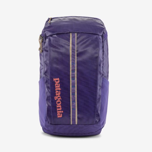 Patagonia Black Hole Pack seljakott 25L