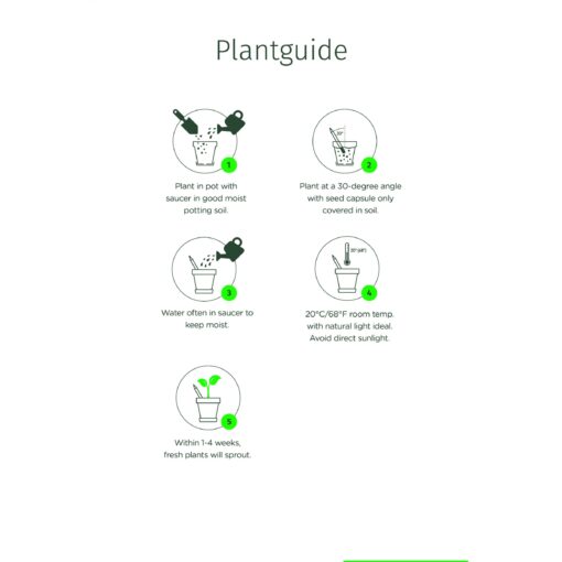 Sproutworldi kasvav pliiats - Image 2