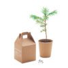 Growtree™ männi kasvatuskomplekt