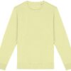 NS unisex ümarakaelusega crewneck pusa 350gm