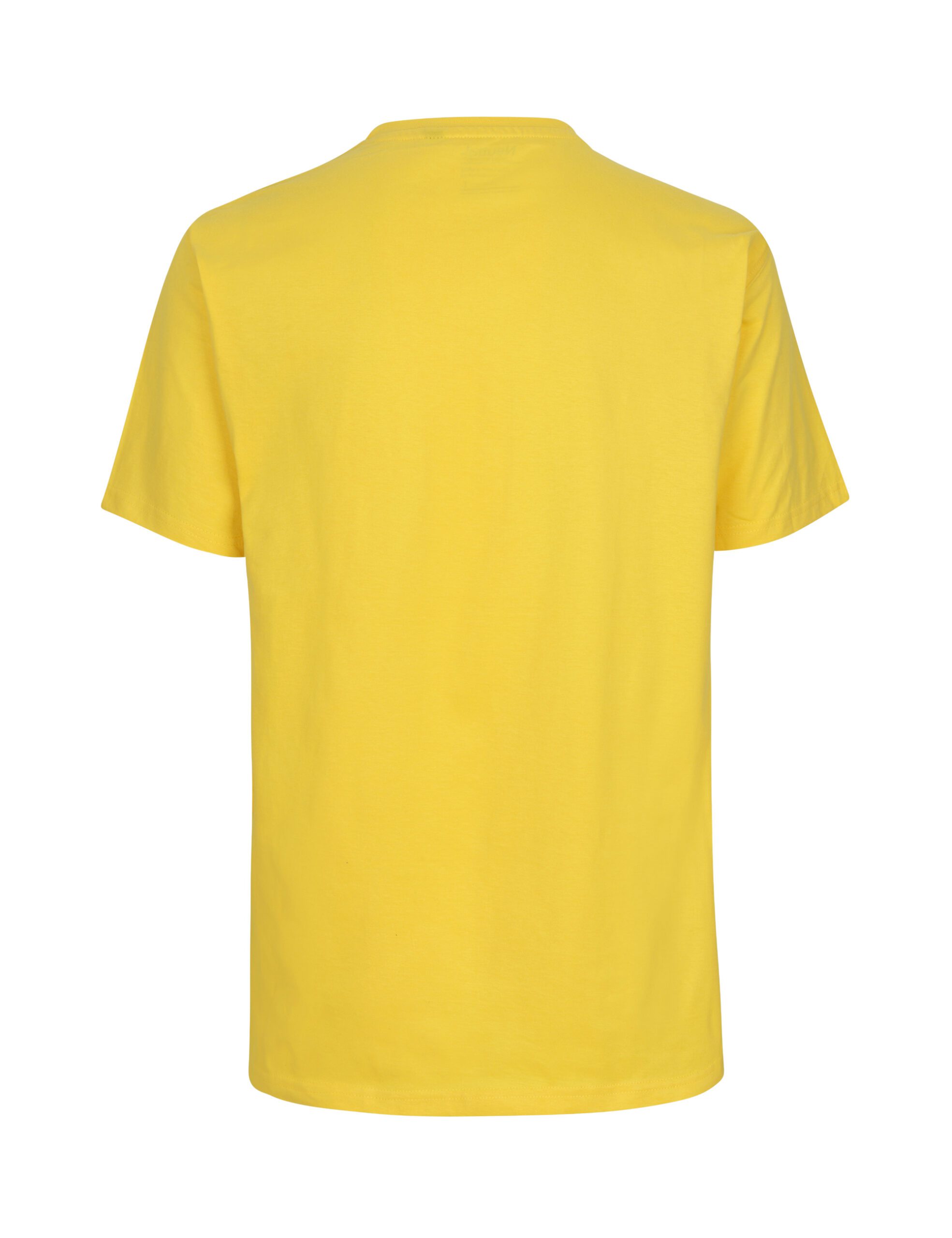 Neutral® meeste klassikaline T-särk - Pilt 46