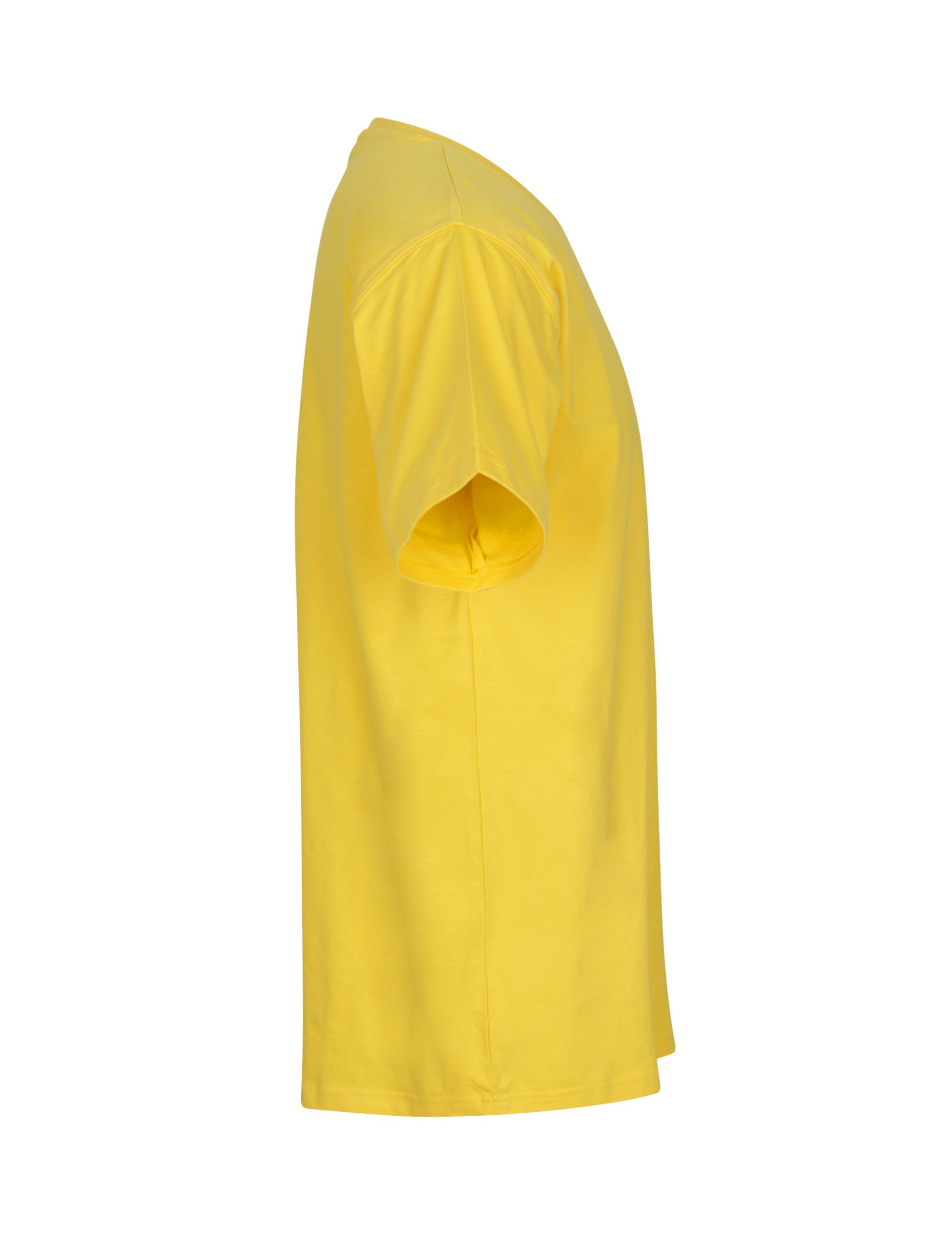 Neutral® meeste klassikaline T-särk - Pilt 45
