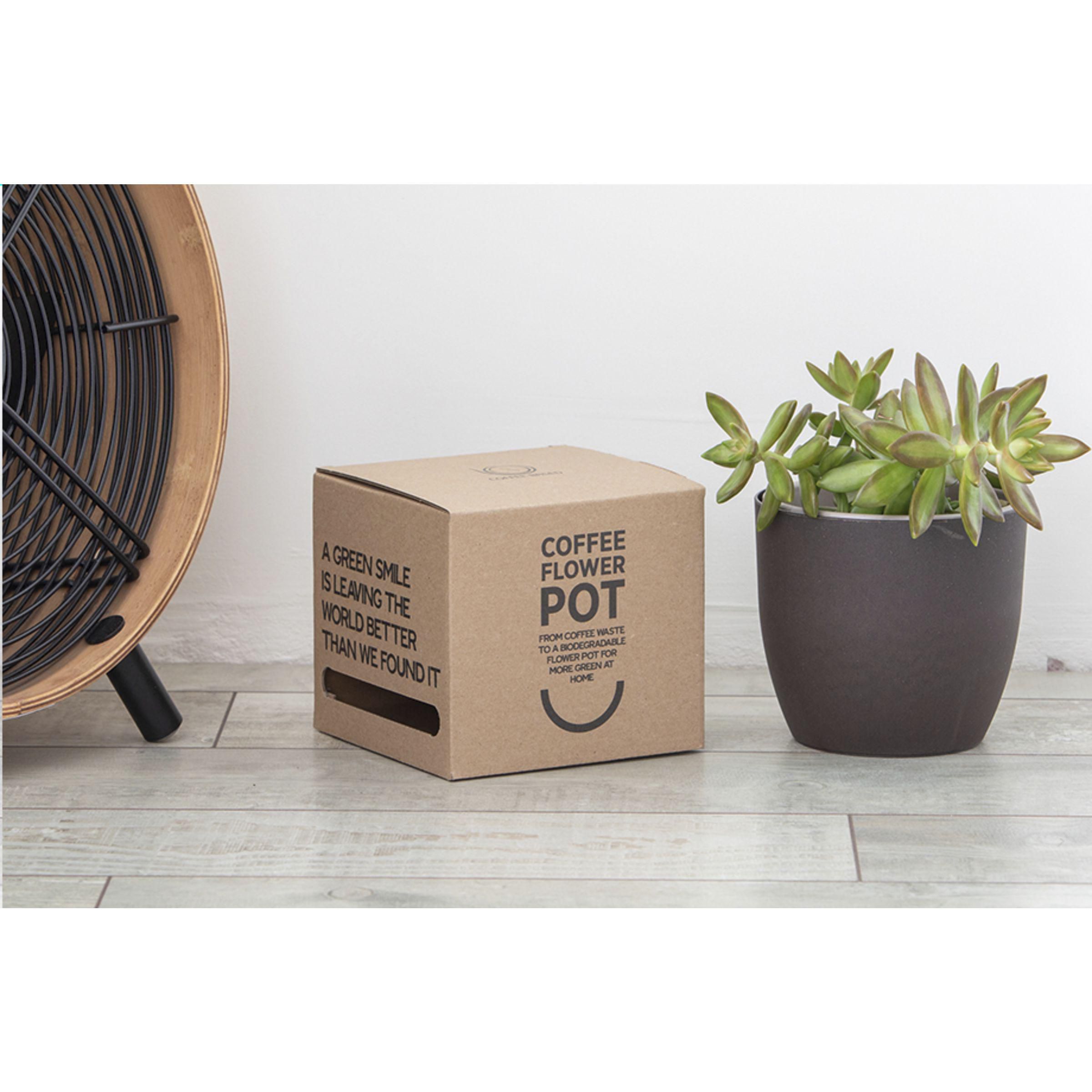 Coffee Flowerpot - Pilt 3