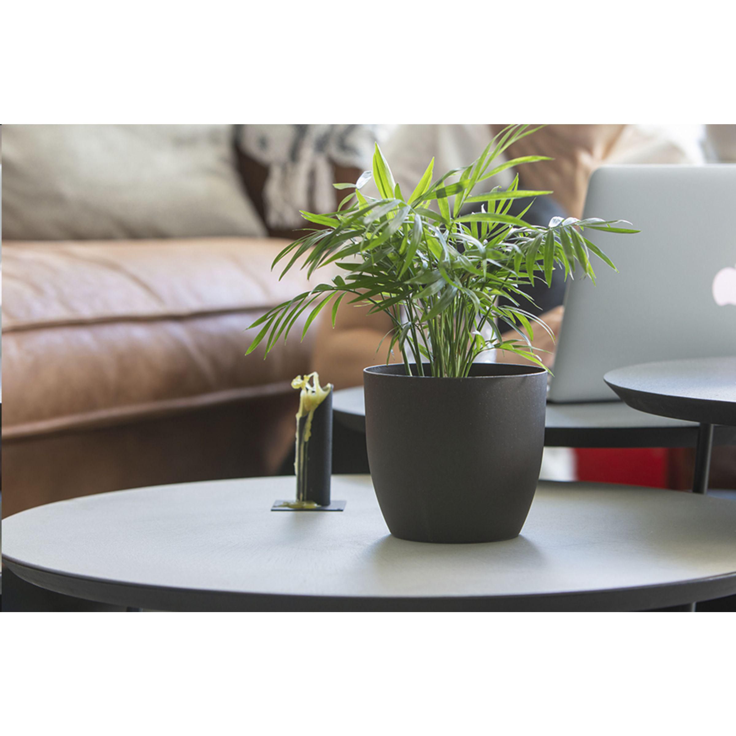 Coffee Flowerpot - Pilt 4