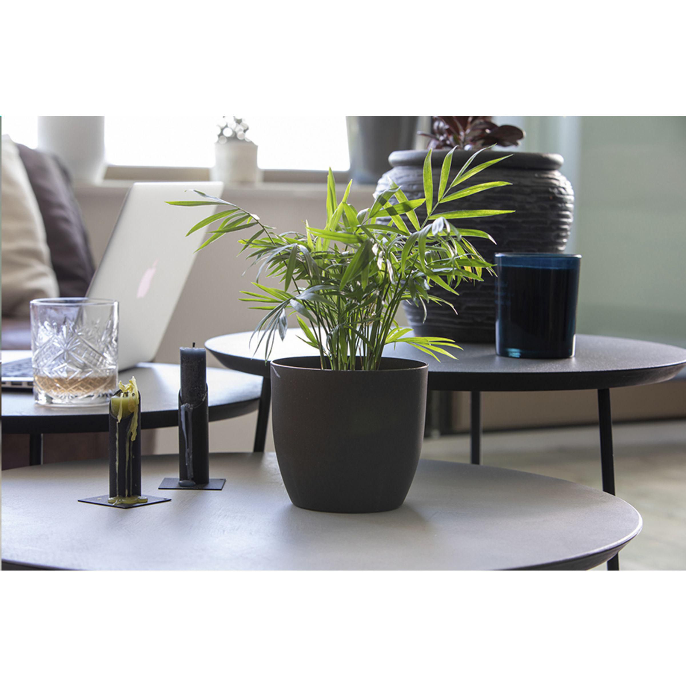 Coffee Flowerpot - Pilt 5