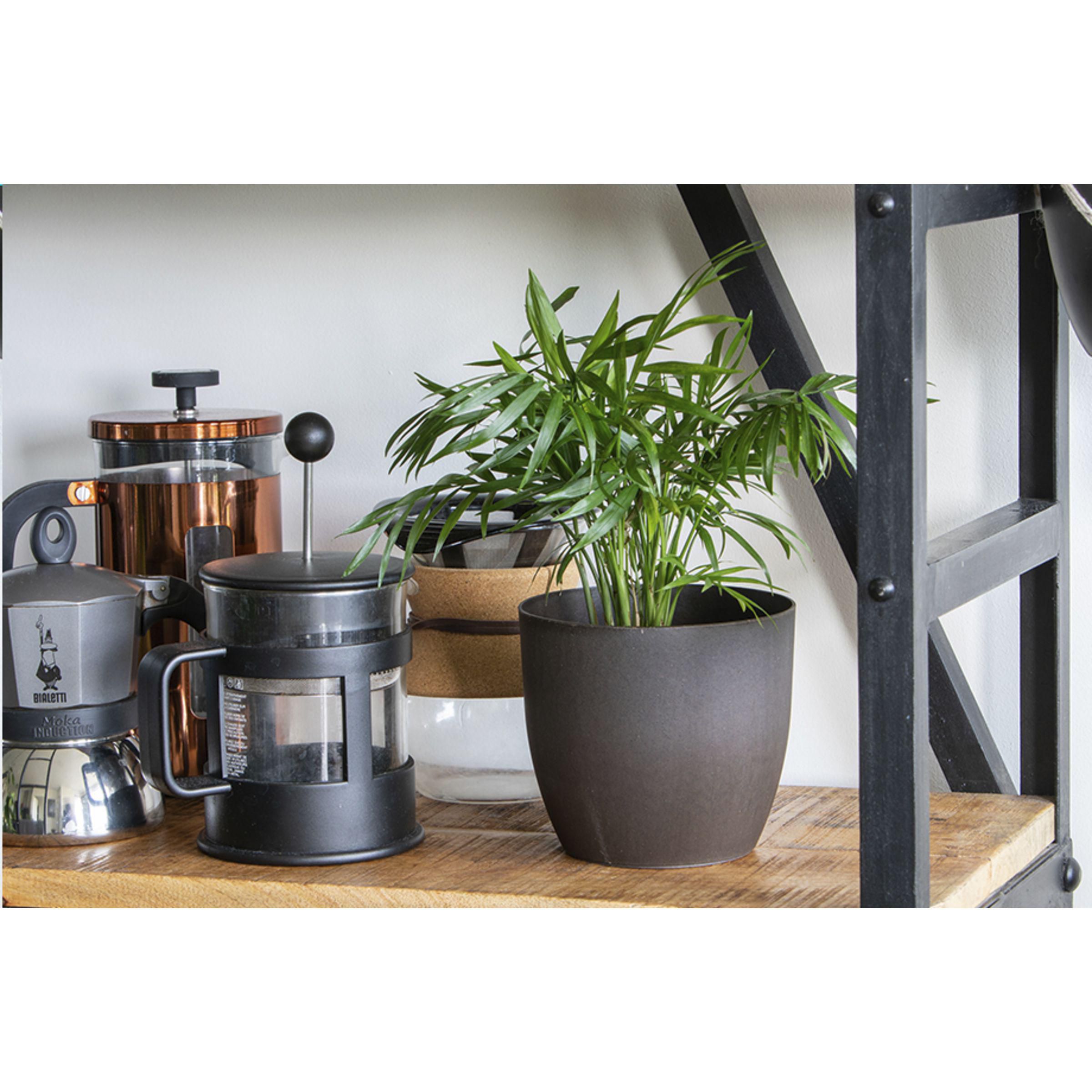 Coffee Flowerpot - Pilt 6